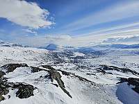 opps_20241217_6761a1da6b279.jpg