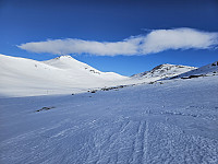 opps_20241217_6761a4cd6f8ae.jpg