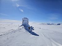 opps_20241218_6762f09f8053b.jpg