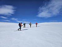opps_20241218_6762f1bb8650b.jpg