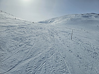 opps_20241218_6762f25916e98.jpg