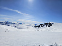 opps_20241218_6762f7df72a34.jpg