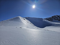 opps_20241218_6762f7e3b6045.jpg