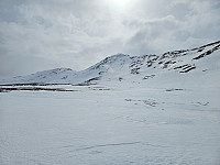 opps_20241218_6762fc6a94e2e.jpg