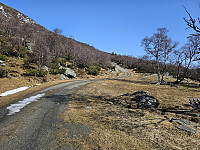 opps_20241218_67631b78f06b6.jpg