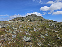 opps_20241219_676432502ee6e.jpg