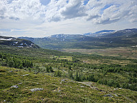 opps_20241219_6764325755e54.jpg