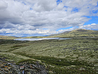 opps_20241219_676440ef79066.jpg