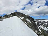 opps_20241219_676441c159c5c.jpg