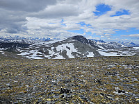 opps_20241219_676441c60c812.jpg