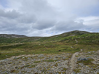 opps_20241219_6764448bf2e80.jpg