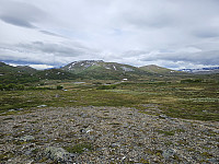 opps_20241219_6764448d80317.jpg