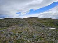 opps_20241219_6764449091691.jpg