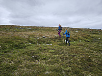 opps_20241219_6764454a91107.jpg