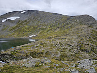 opps_20241219_676447649ea2e.jpg