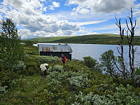 opps_20241219_6764486df2b04.jpg