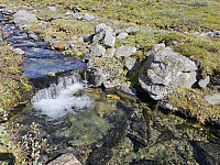 opps_20241219_67644876ed9c0.jpg