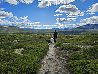 opps_20241219_6764487b0d9c8.jpg
