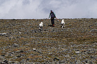 opps_20241219_676448864a845.jpg