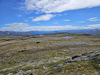 opps_20241219_6764493176c6d.jpg