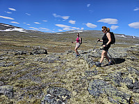 opps_20241219_67644a3a562dc.jpg