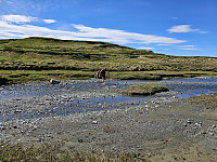 opps_20241219_67644a4565149.jpg