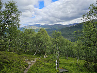 opps_20241219_67644bbdb3e2b.jpg