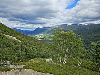 opps_20241219_67644bbf80539.jpg
