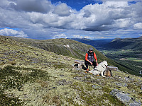 opps_20241219_67644bcd3c627.jpg