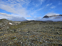 opps_20241219_6764574594e31.jpg