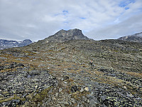 opps_20241219_6764574aa1991.jpg