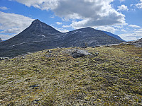 opps_20241219_67645a2d4de61.jpg