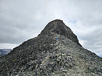 opps_20241219_67645a3dbb275.jpg