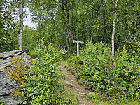 opps_20241219_6764652d44fce.jpg