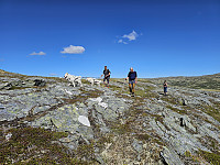 opps_20241219_6764679a229e9.jpg