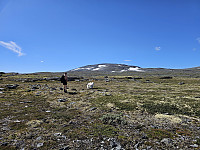 opps_20241219_6764679be9199.jpg
