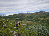 opps_20241219_676468a937454.jpg