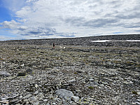 opps_20241219_67646c2b550c3.jpg