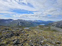 opps_20241219_67646c2d28a9f.jpg