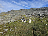 opps_20241219_67646c3d9ed89.jpg