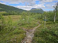 opps_20241219_6764701e628c6.jpg