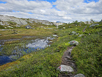 opps_20241219_67647020575d4.jpg
