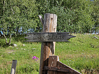 opps_20241219_676487a6ac8d7.jpg