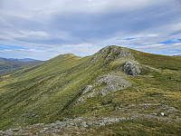 opps_20241219_676487ac90a2d.jpg