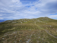 opps_20241219_676487b34fa58.jpg