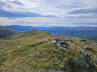 opps_20241219_676487b69e08e.jpg