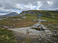 opps_20241219_676488c5654d2.jpg