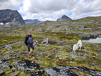 opps_20241219_676488c90adf0.jpg