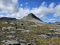 opps_20241219_676488ce35c43.jpg