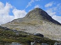 opps_20241219_676488d23dc57.jpg